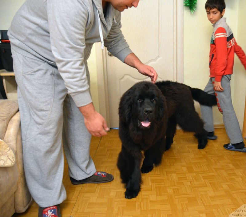 Фотография № 141352