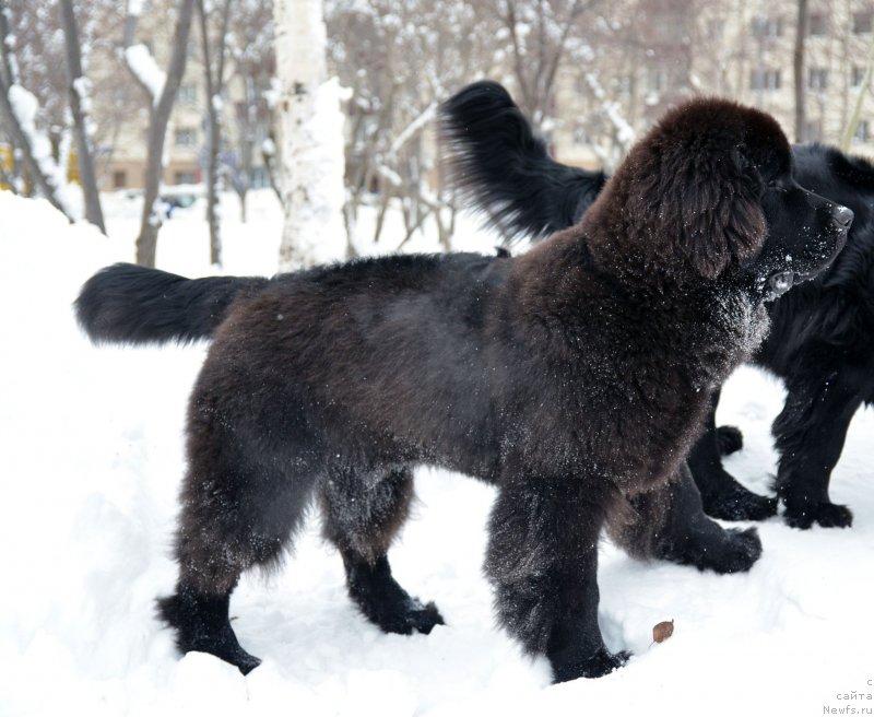 Фотография № 141354