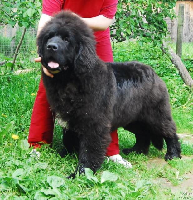 Фотография № 14138