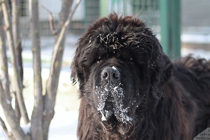 Фотография № 141401