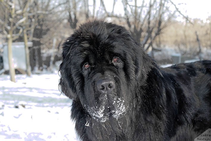 Фотография № 141402