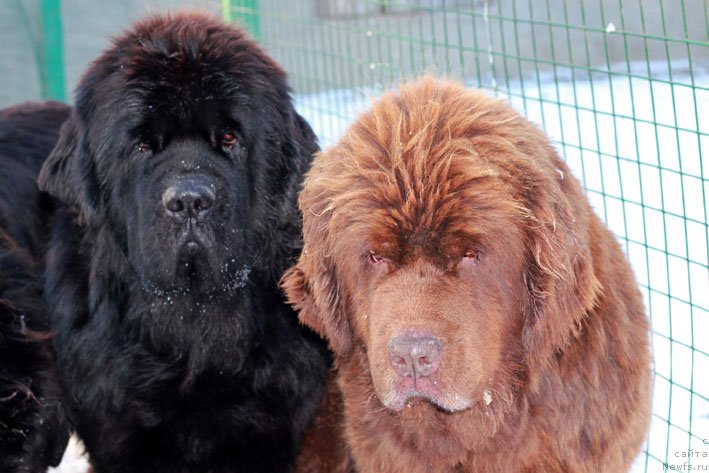 Фотография № 141403