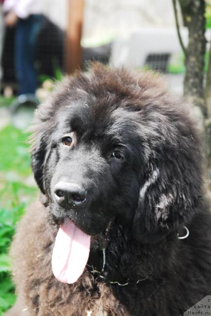 Фотография № 14141