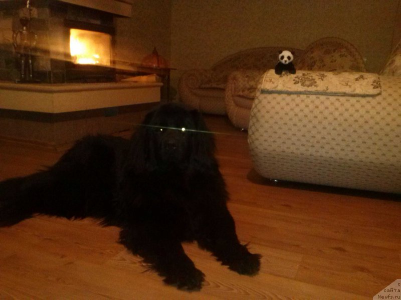 Фотография № 141466