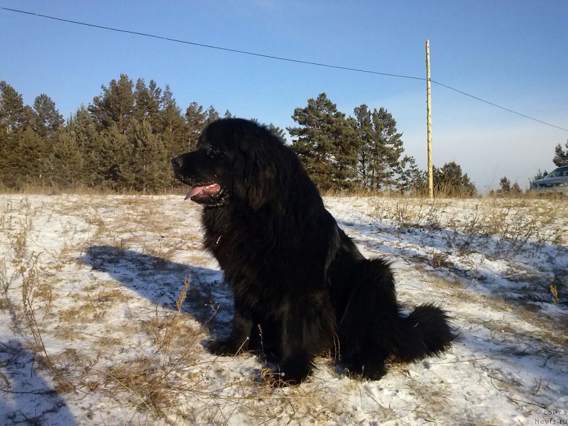 Фотография № 141470