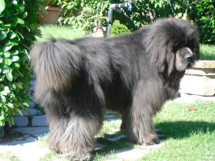 Фото: Starry town ete dai fumui