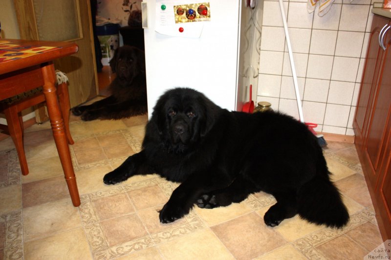 Фотография № 141501