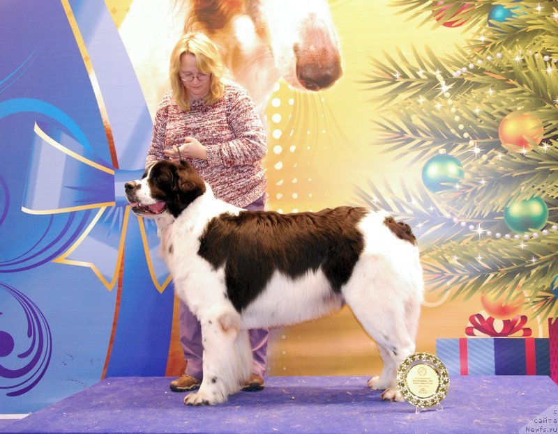 Фотография № 141508