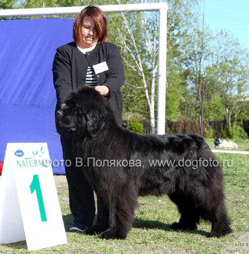 Фотография № 14158