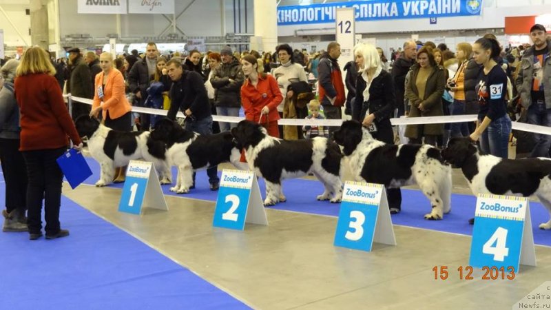 Фотография № 141585