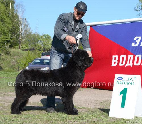 Фотография № 14159