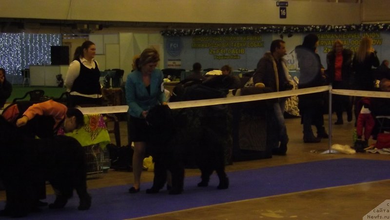 Фотография № 141591