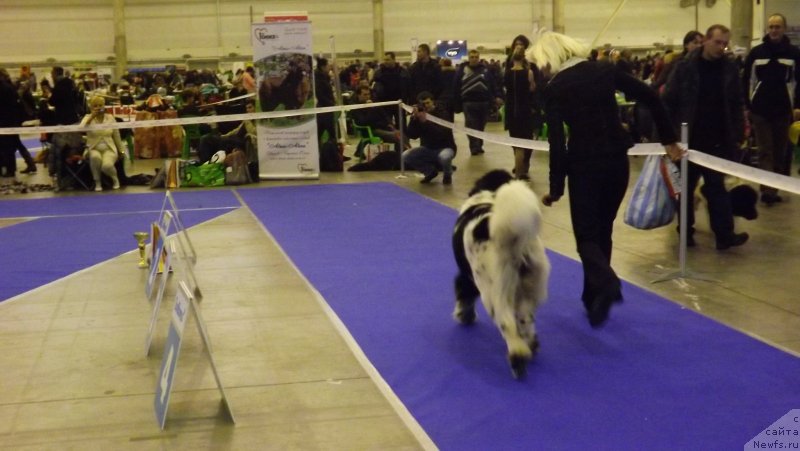 Фотография № 141597