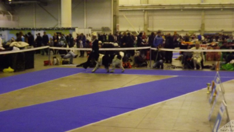 Фотография № 141598