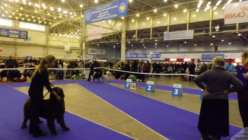 Фотография № 141601