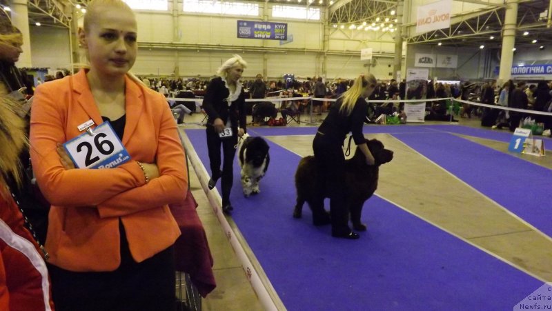 Фотография № 141602