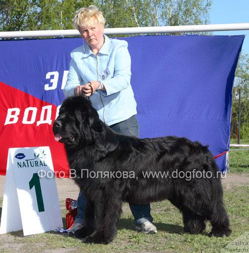 Фотография № 14162