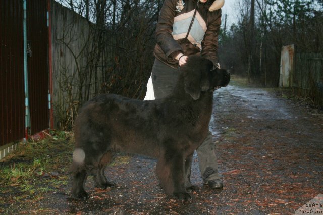 Фотография № 141638