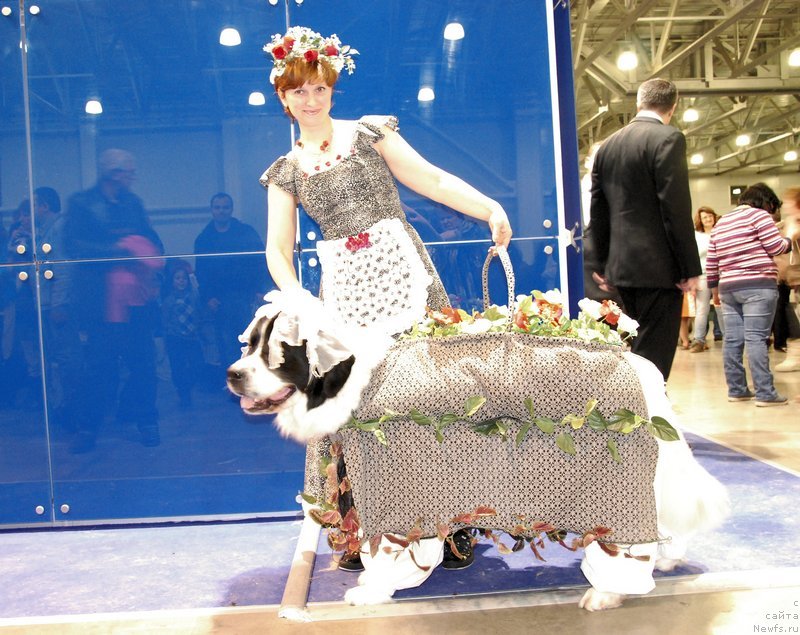 Фотография № 141643