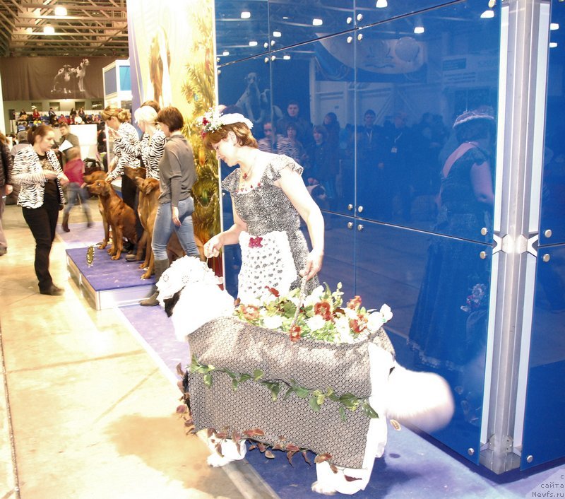 Фотография № 141644