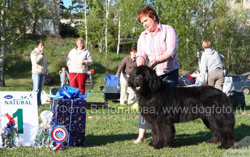 Фотография № 14168