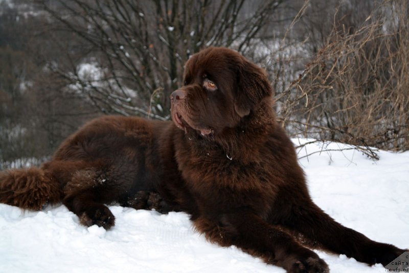 Фотография № 141695