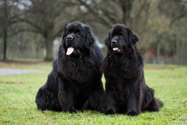 Фотография № 141720