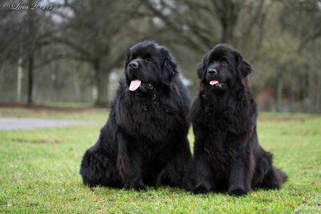 Фотография № 141721