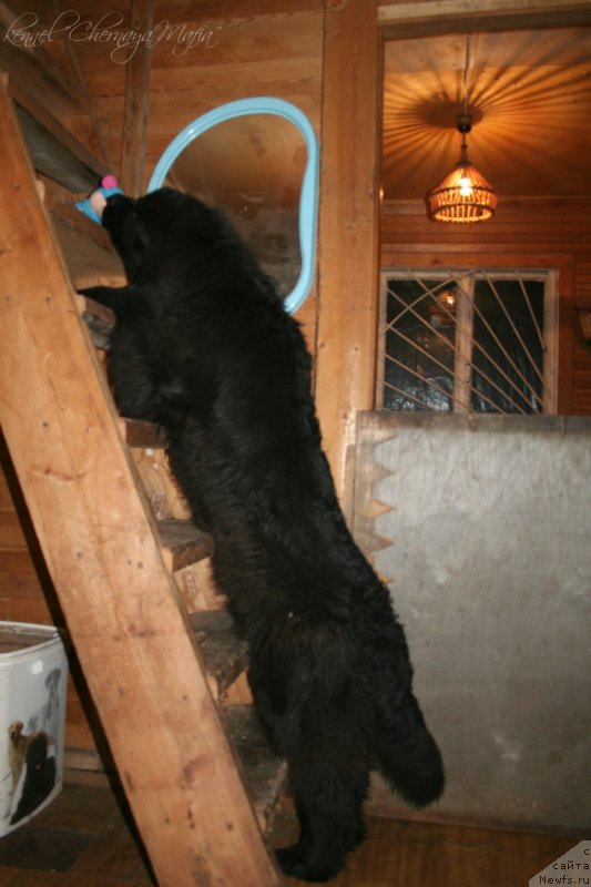 Фотография № 141728