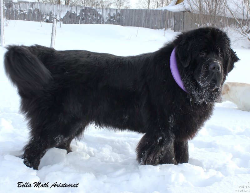 Фотография № 141795