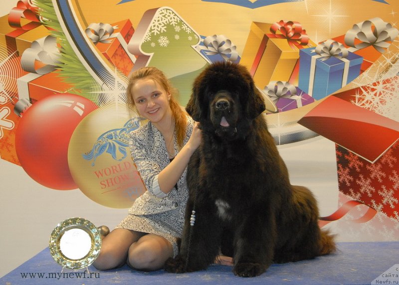 Фотография № 141832