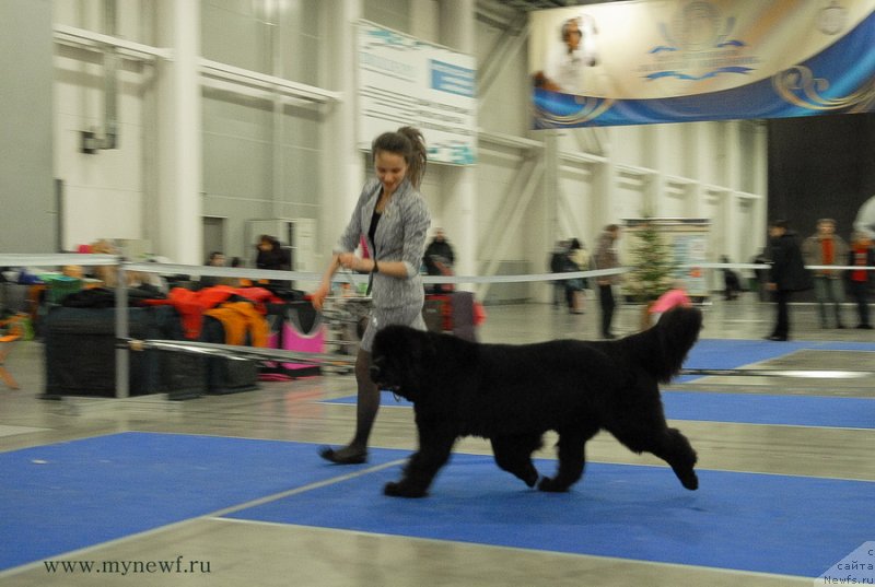 Фотография № 141837