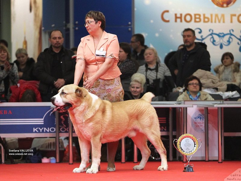 Фото: Фото Светланы Валуевой