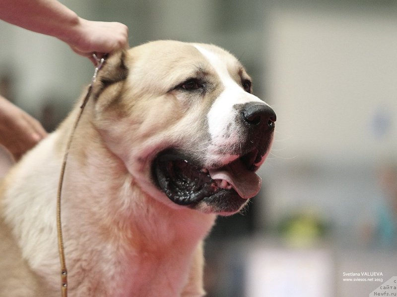 Фото: Фото Светланы Валуевой