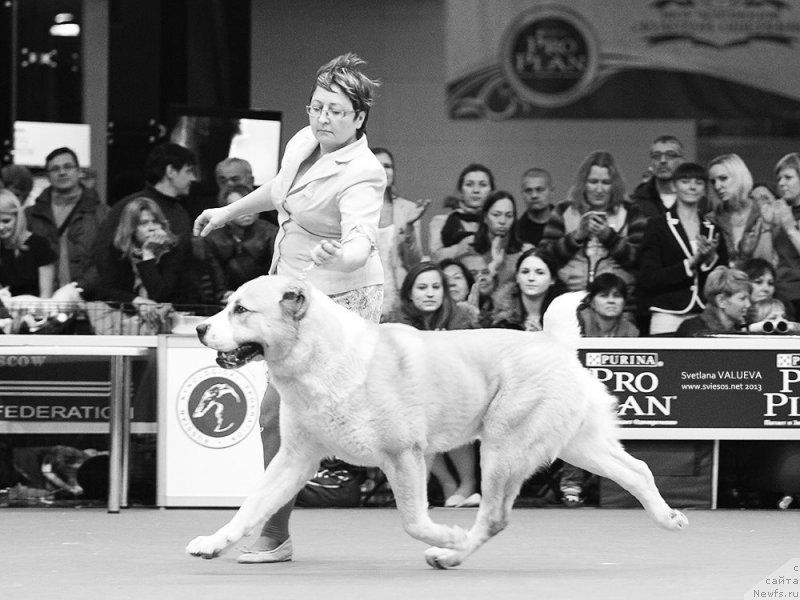 Фотография № 141846