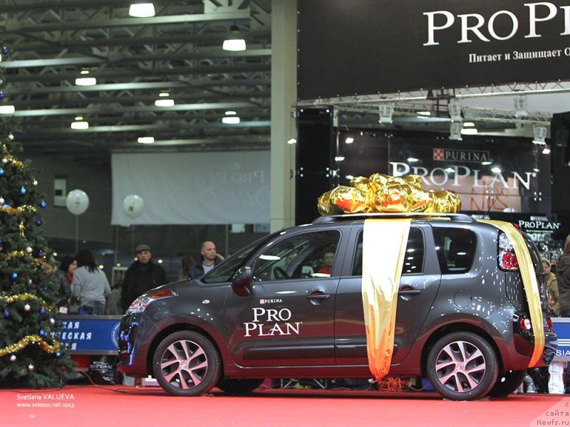 Фотография № 141847