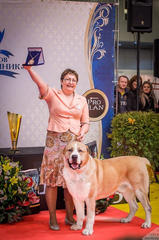 Фото: Фото взято с Фейсбука