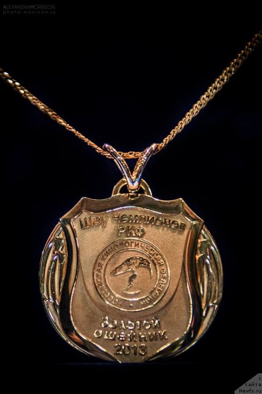 Фото: Фото взято с Фейсбука