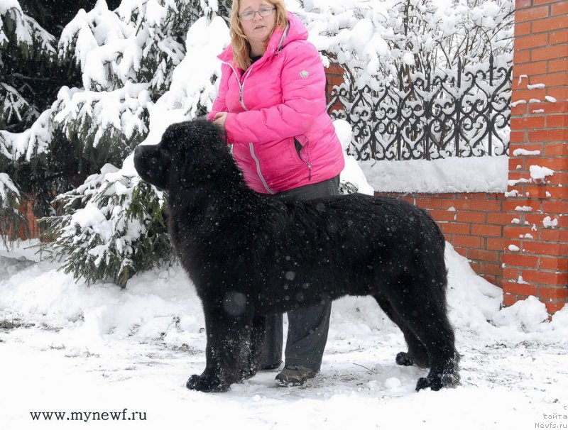 Фотография № 141854