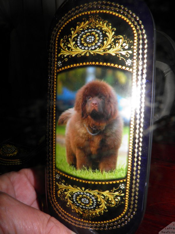 Фотография № 141890