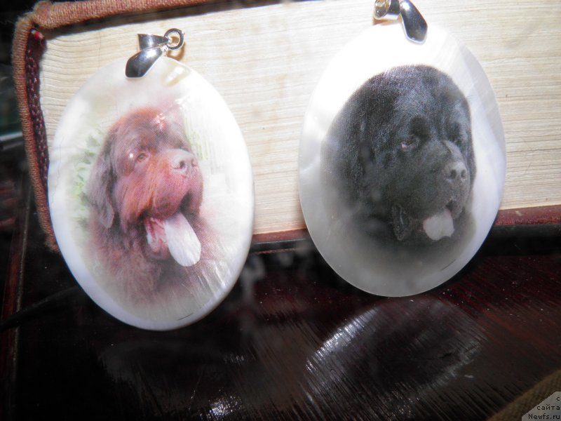 Фотография № 141891