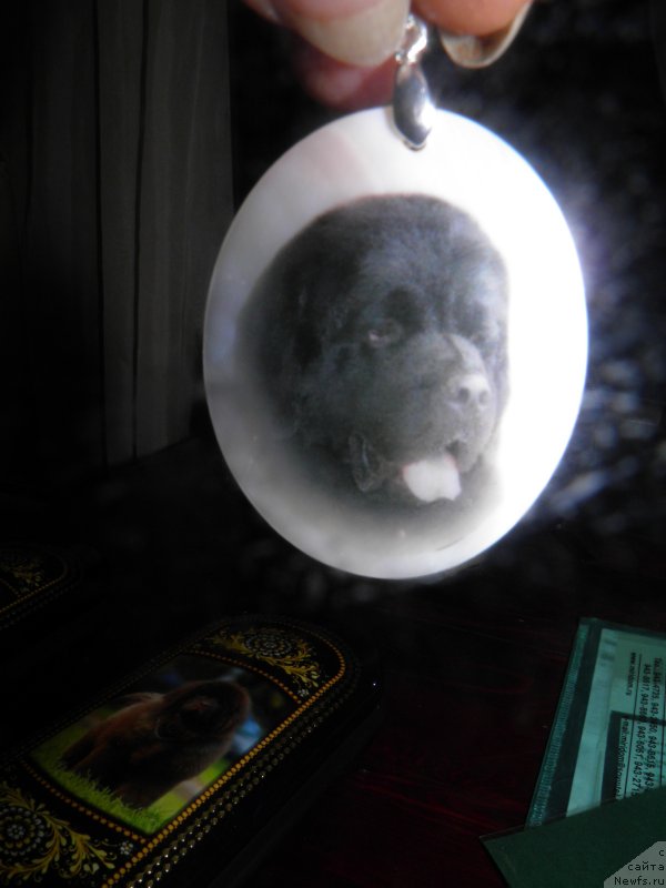 Фотография № 141893