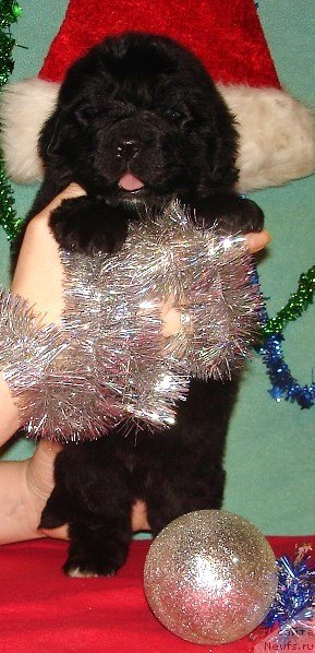 Фото: белая лента