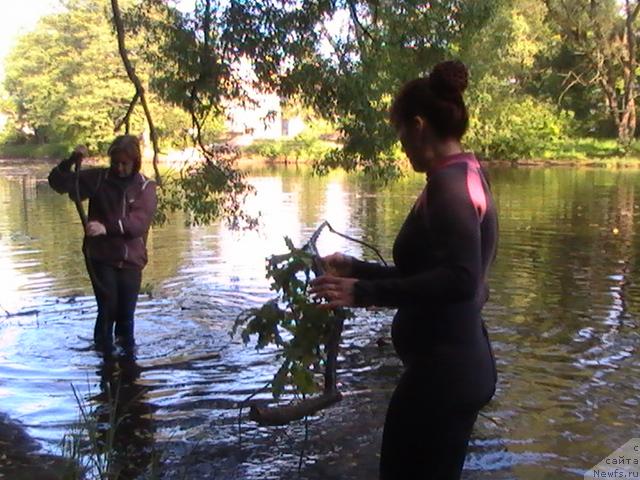 Фотография № 14190