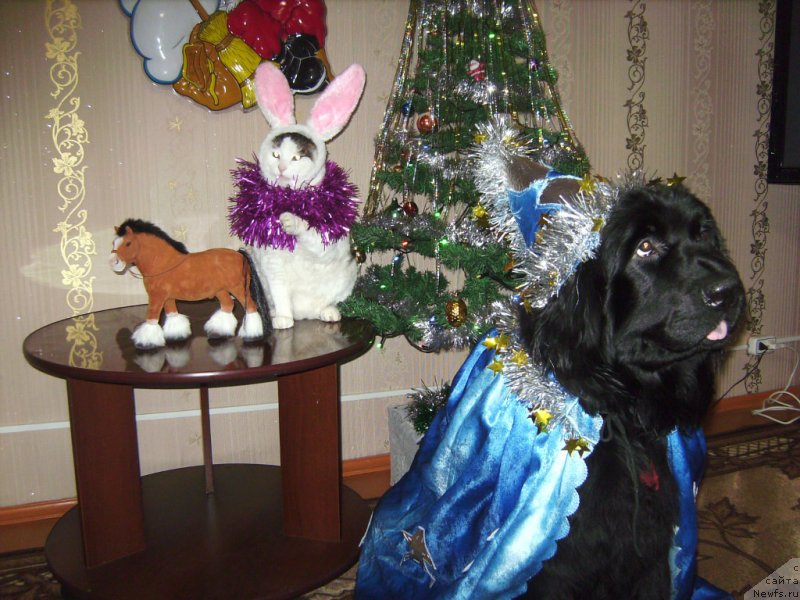 Фотография № 141909