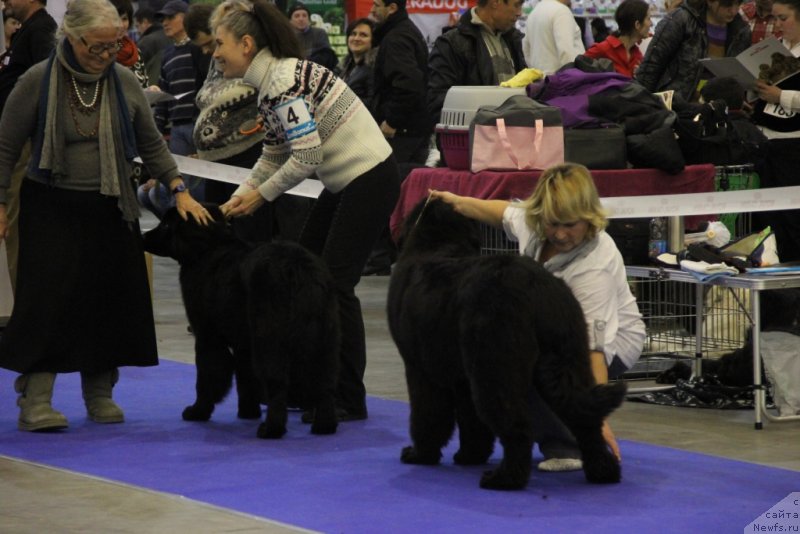 Фотография № 141938