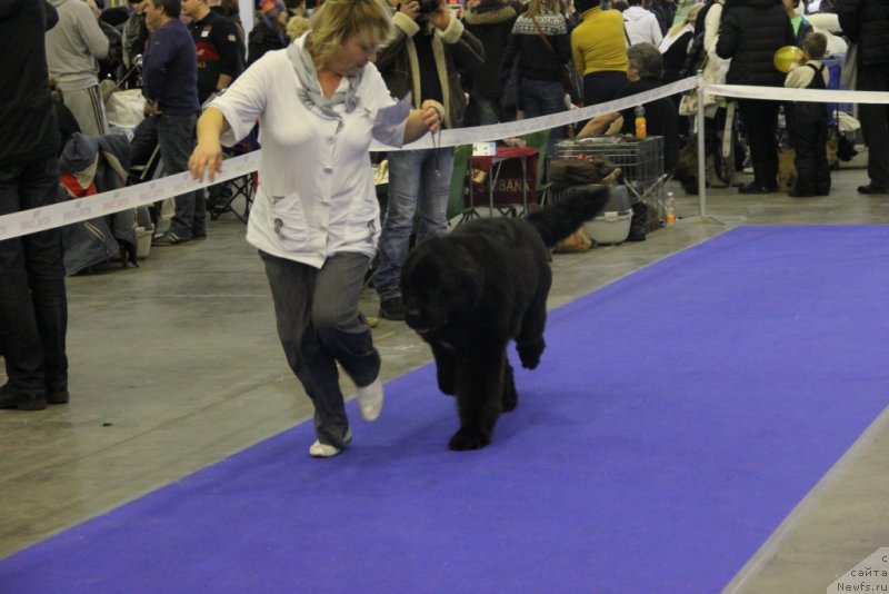 Фотография № 141939