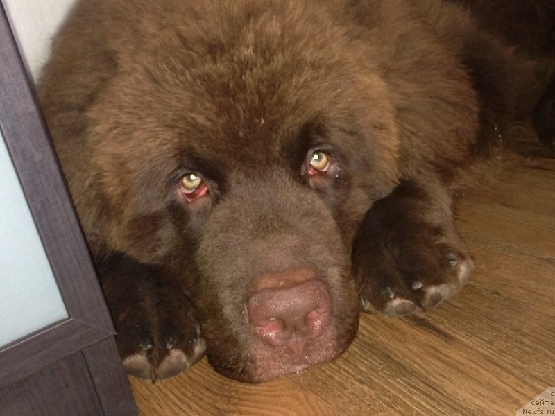 Фотография № 141949