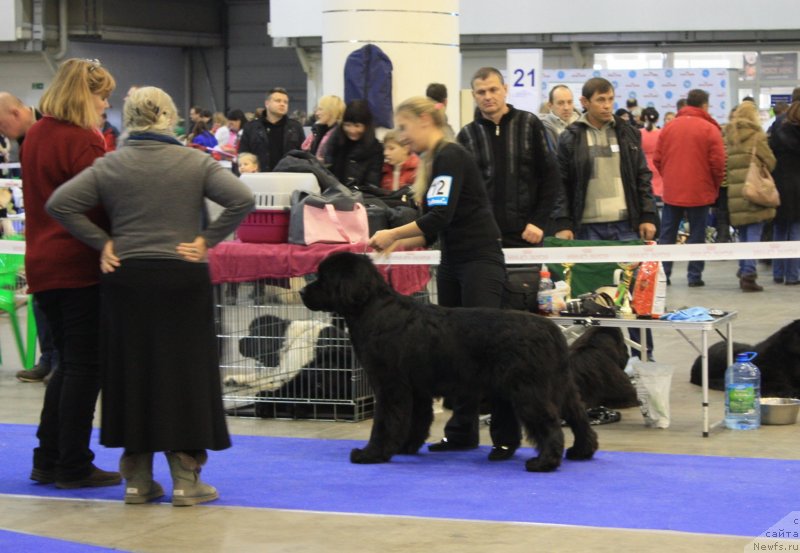 Фотография № 141950