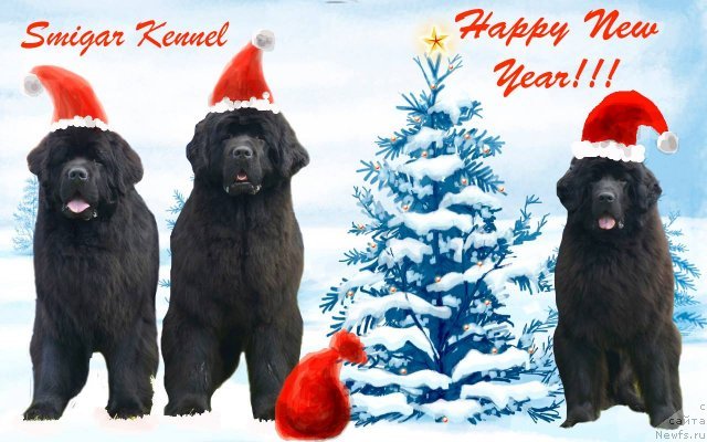 Фотография № 141951